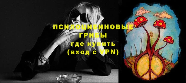 apvp Богданович