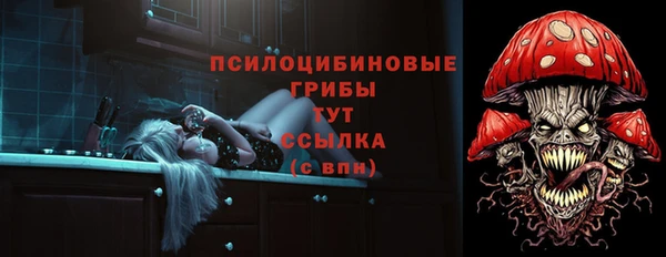 a pvp Богородск