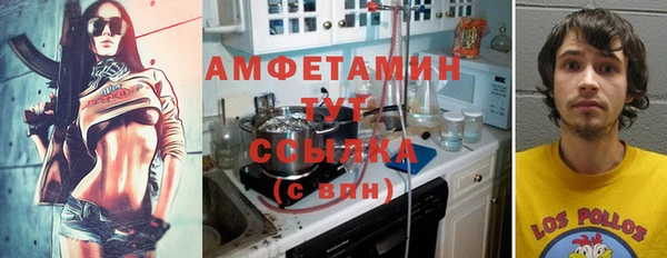 apvp Богданович