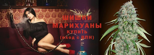 винт Богородицк