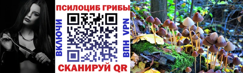 Псилоцибиновые грибы Cubensis  Валуйки 